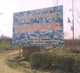 西安市徐香猕猴桃苗厂家供应徐香猕猴桃苗木基地批发价格，哪里有猕猴桃种苗