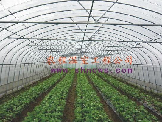 供应上海自动温室大棚钢架