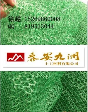 供应北京三维植被网，施工方案，厂家直销