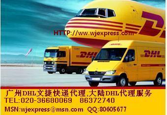 DHL国际物流/DHL货运代理/广州DHL快递代理/广州文捷国际快递