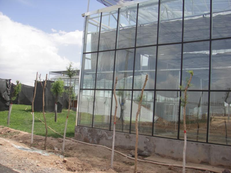 山东潍坊玻璃温室建造批发
