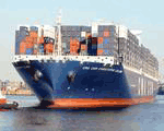供应澳大利亚海运价格 国际海运 海运双清 国际海运到澳大利亚