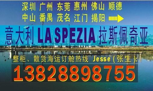 供应东莞广州深圳到意大利LA SPEZIA拉斯佩奇亚国际海运公司