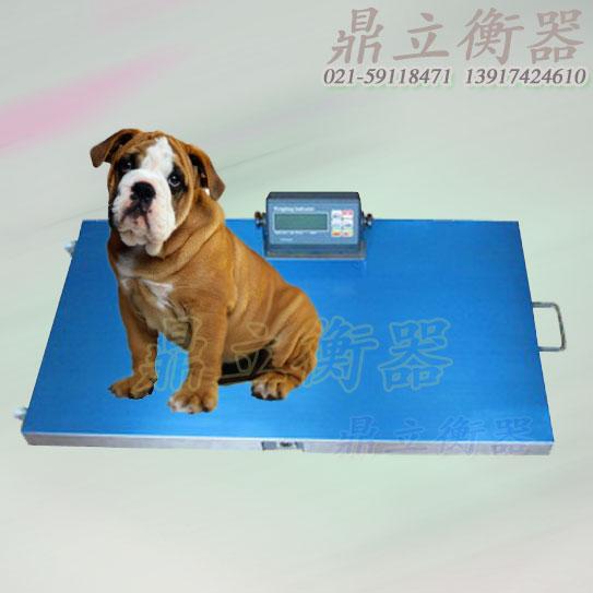 供应上海宠物秤,动物秤，上海电子秤，超低台面动物秤，狗狗电子秤图片