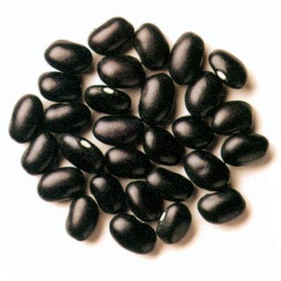 黑大豆种子厂家黑大豆种子批发供应山东黑大豆种子厂家黑大豆种子批发青仁乌豆种子厂家