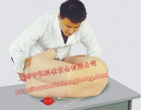 供应上海厂家促销腰椎穿刺训练模拟人，腰椎穿刺仿真标准化病人
