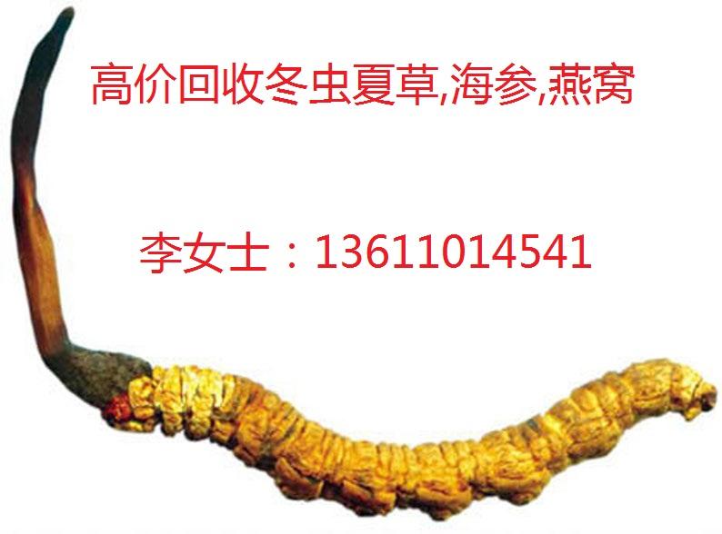 北京冬虫夏草高价回收13611014541常年回收冬虫夏草-燕窝