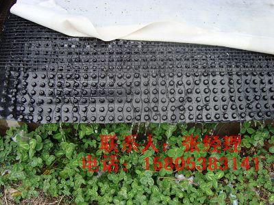 供应排水板，潍坊排水板，车库屋顶绿化专用排水板