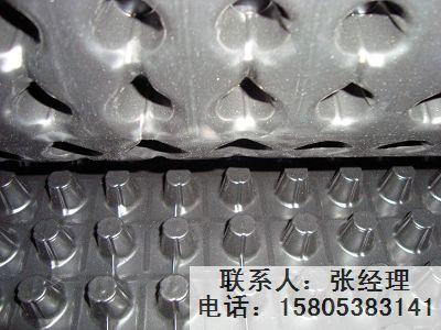 屋顶花园绿化排水板南京排水板厂家专业生产
