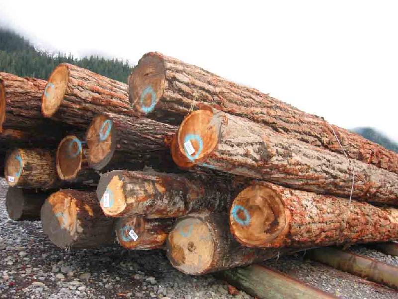 木材木制品进口全套代理批发