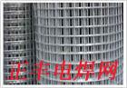 供应外墙保温网 保温钢丝焊接网 热镀锌钢丝网 批发供应钢网（选正丰）图片