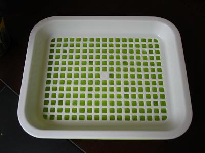 芽苗菜专用盘在家种植芽苗菜批发