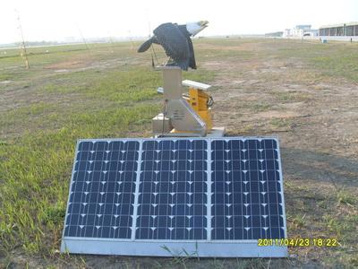 太阳能供电驱鸟配套仿真猛禽设备批发