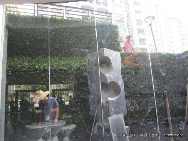 广州市垂直绿化新的装修选择厂家垂直绿化新的装修选择