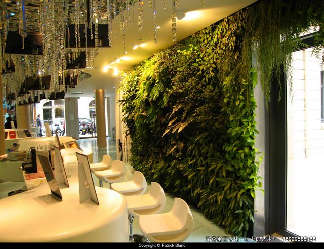 立体绿化植物墙图片