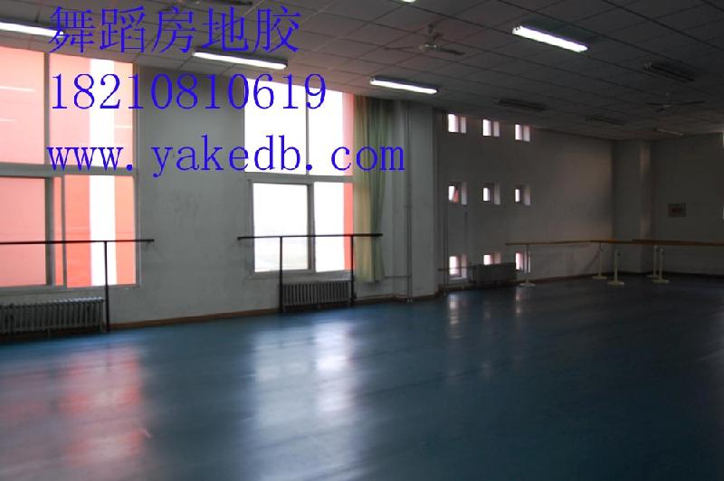 舞蹈室内环保无味塑胶地板，北京舞蹈房移动式地胶，移动式把杆底座