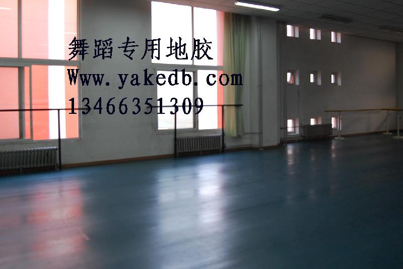 北京市舞蹈房塑胶地板舞蹈房地板胶垫厂家供应舞蹈房塑胶地板舞蹈房地板胶垫