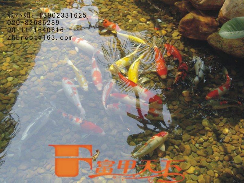 扬州景观鱼池水过滤批发