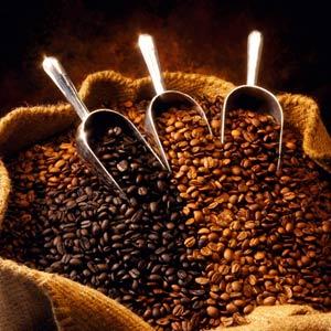 咖啡豆，果粉，果味粉，奶茶原料，珍珠奶茶原料，吧台系列产品咖啡豆