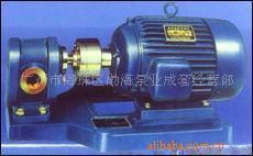 高温齿轮油泵2CY系列高温齿轮泵批发