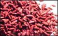 供应明润生物厂家供应红曲米提取物