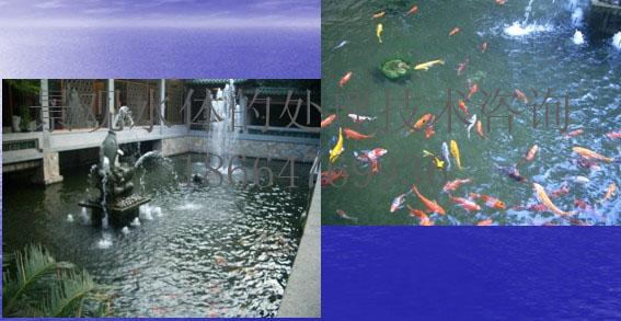 广州景观水处理设备广州景观水处理技术广州景观水杀藻广州景观图片