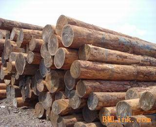南美拉巴乔进口报关代理木材进口批发