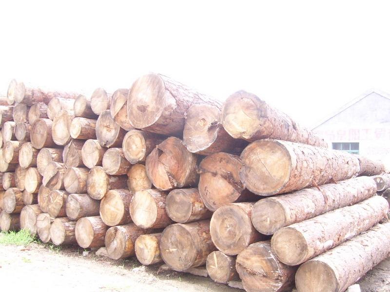 非洲桃花芯进口清关代理木材进口批发