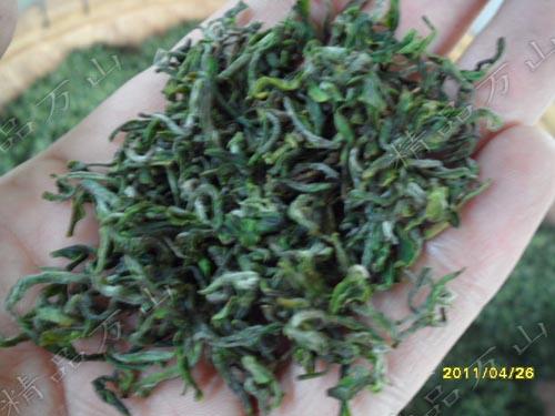 供应中国绿茶