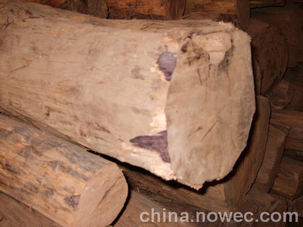 供应广州代理非洲木材进口清关，代理非洲木材清关手续费用单证图片
