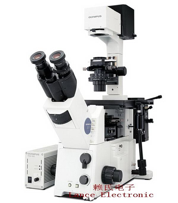 IX71奥林巴斯倒置显微镜批发