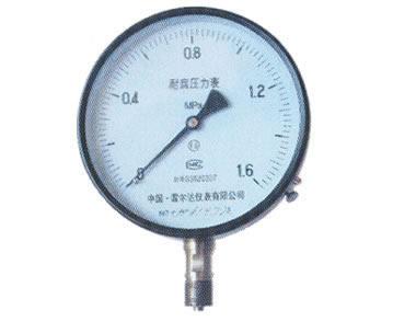 上海YA系列氨气压力表批发