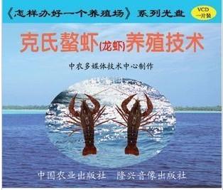 供应重庆淡水小龙虾养殖技术图片
