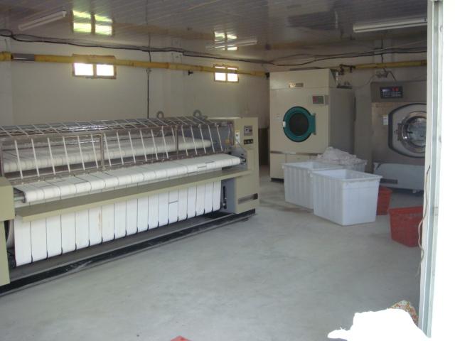 供应专用洗涤机械
