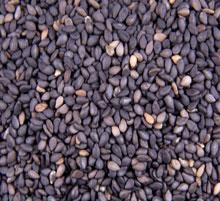 供应黑小米，山东黑小米大量批发，山东黑小米批发优惠价格