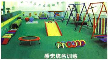 内蒙赤峰儿童感统器材训练儿童平衡批发