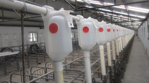 供应河南猪场牛场喂料线猪场自动喂料系统牛场自动化喂料系统