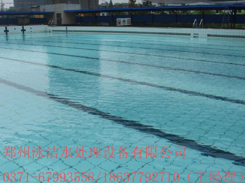 郑州市游泳池建设厂家供应游泳池建设  恒温游泳馆水处理设备 游泳池过滤设备厂家