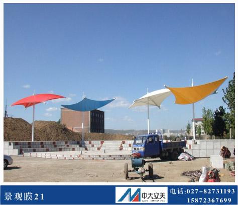 供应北京景观膜结构工程 专业景观膜结构制作安装公司 湖北中天立美图片