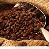 供应精选进口A级意大利咖啡豆