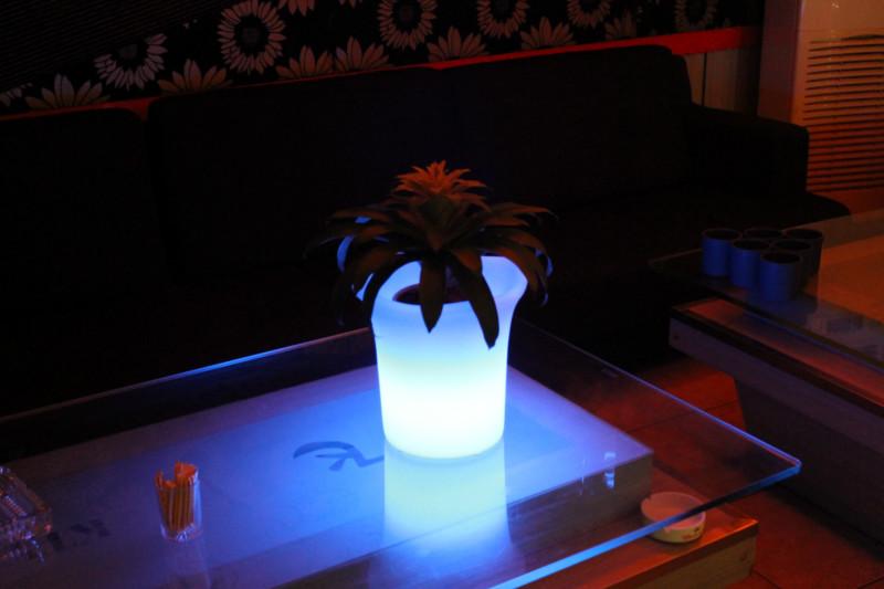 供应LED发光花盆