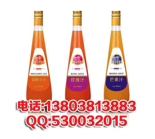 供应果浆饮料包装设计果浆果汁饮料郑州包装设计饮料包装设计