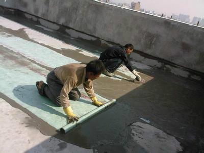 供应惠州专业防水补漏，天面补漏，卫生间补漏