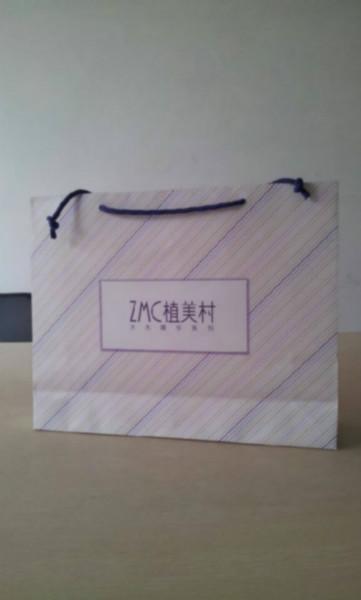 供应纸袋厂家/纸袋制作厂/广州手提购物宣传纸袋订做