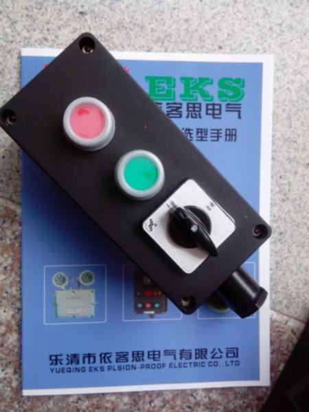 大量供应三防全塑主令控制器(按钮盒）型号：FZX-B1-B2-B3
