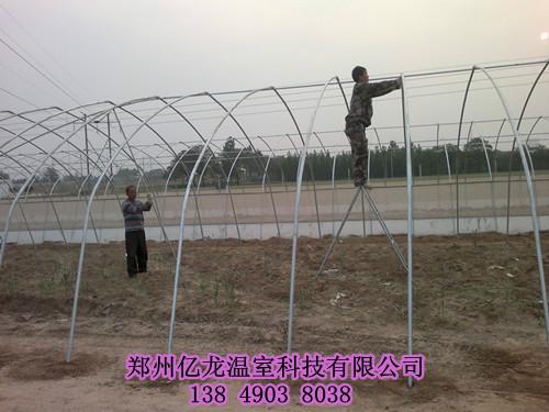 郑州市花卉温室大棚厂家供应花卉温室大棚 郑州建一个钢架温室大棚多少钱