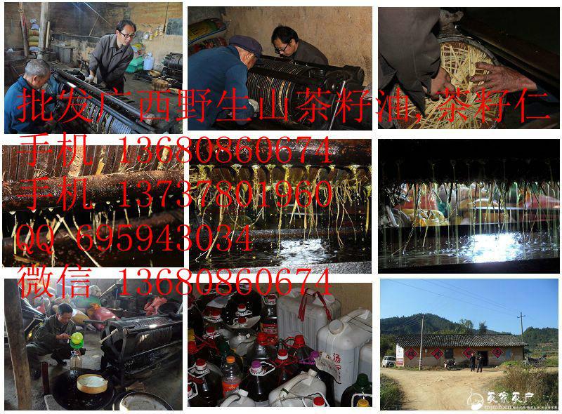 广西山茶籽油生产基地,茶油厂家,茶籽油厂家,茶油,茶籽油,山茶油