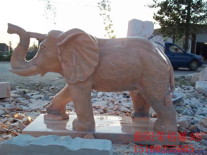 供应曲阳石雕大象哪里有卖/石雕大象汉白玉大象晚霞红大象图片