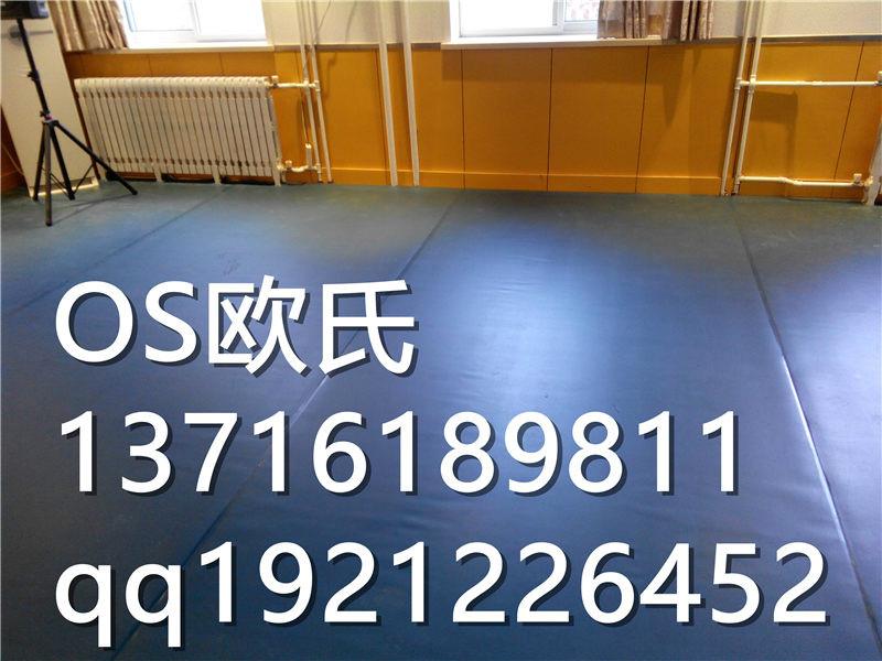 北京儿童拉丁舞健身房地板批发
