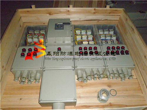 BXM69防爆照明配电箱带漏电保护批发